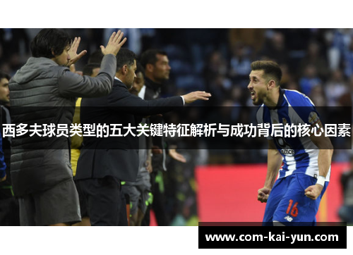 西多夫球员类型的五大关键特征解析与成功背后的核心因素